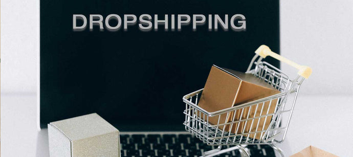 Dropshipping Supplier