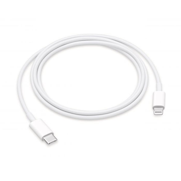 USB-C to Lightning Cable - ecomstock