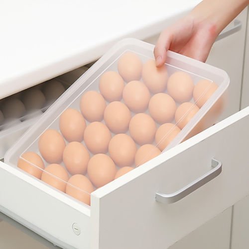 24 Pieces Portable Plastic Egg Carry Holder Storage Container - ecomstock
