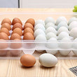 34 Pieces Portable Plastic Egg Carry Holder Storage Container - ecomstock