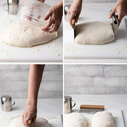 Stainless Steel Dough Scrapper and Cutter - ecomstock