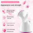 Facial Steamer Home Spa - ecomstock