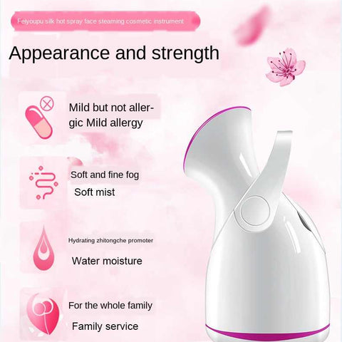 Facial Steamer Home Spa - ecomstock