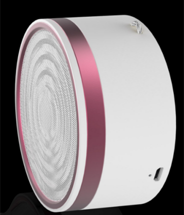 Portable Wireless Smart Speaker - ecomstock