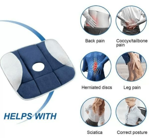 Posture Pressure Relieving Seat Cushion - ecomstock