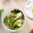Multifunctional Salad  Fruit Vegetable Dryer Green & White - ecomstock