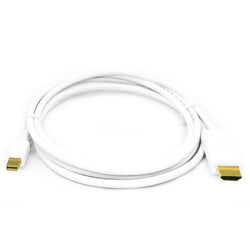 Mini Display Port Adapter